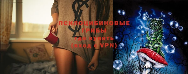 apvp Алексин