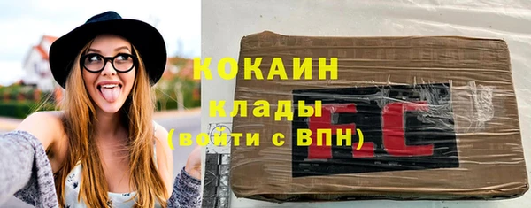 индика Алексеевка