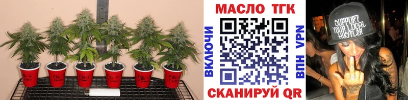 МЕГА ССЫЛКА  Сургут  ТГК THC oil 